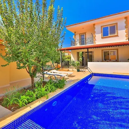 Comfortable With Pool 别墅